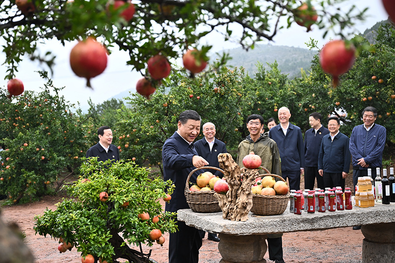 1-231014110211162 南宫国际(中国区)官方网站